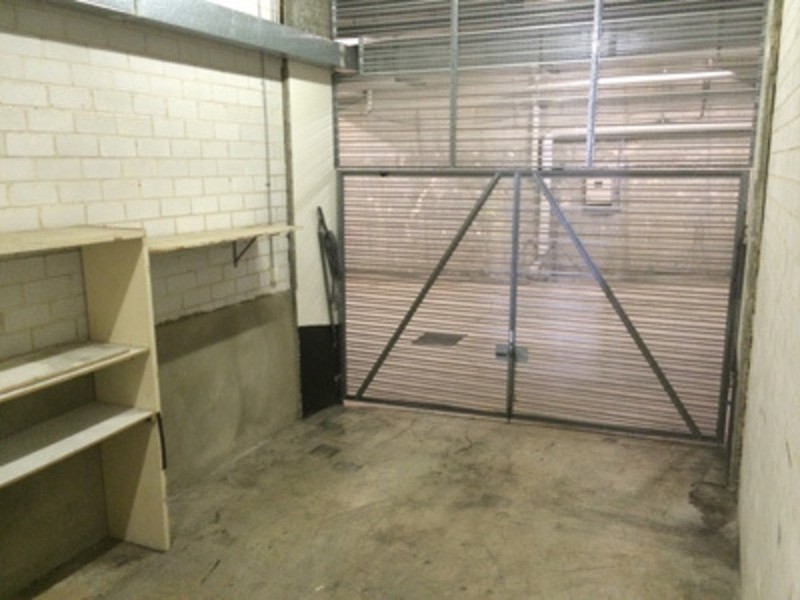 67 Palmer Street, Balmain NSW 2041