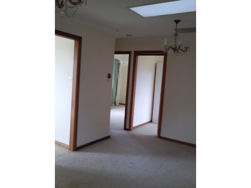 20 Bungalow Road, Peakhurst NSW 2210