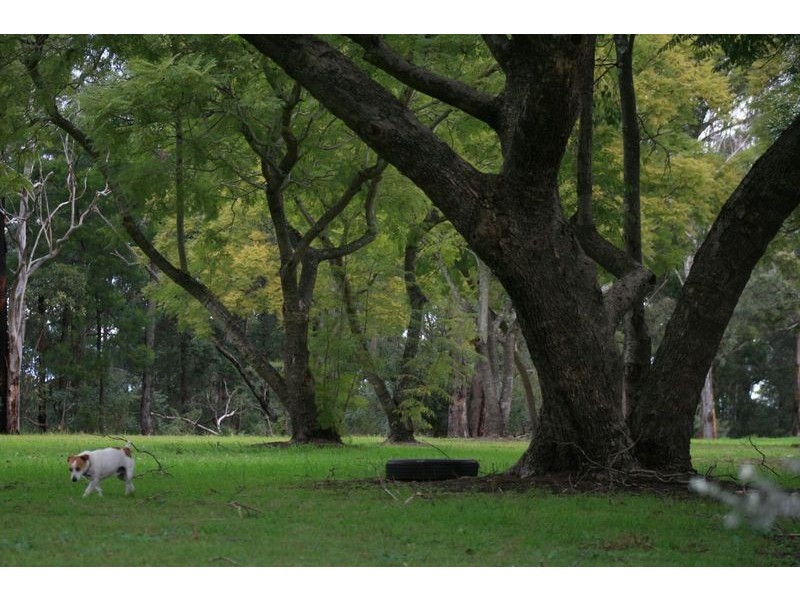 124 North Rocks Rd, North Rocks NSW 2151