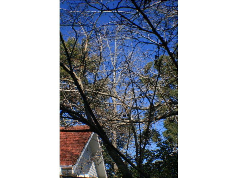 124 North Rocks Rd, North Rocks NSW 2151