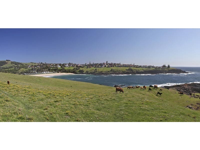 48  Attunga Avenue, Kiama NSW 2533