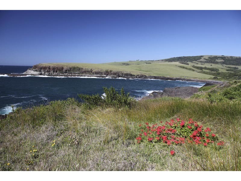 48  Attunga Avenue, Kiama NSW 2533