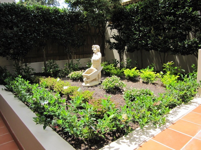 8/1-5 Busaco Street, Marsfield NSW 2122