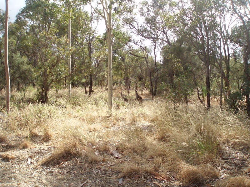 7 Warbler Close, Edgewater WA 6027