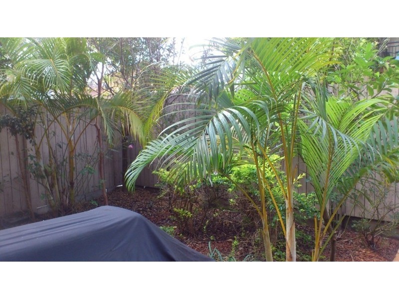 67 Lockrose Street, Mitchelton QLD 4053