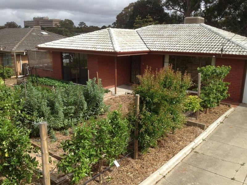 20 Glengyle Avenue, Modbury SA 5092