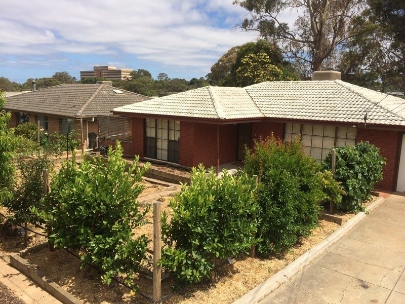 20 Glengyle Avenue, Modbury SA 5092