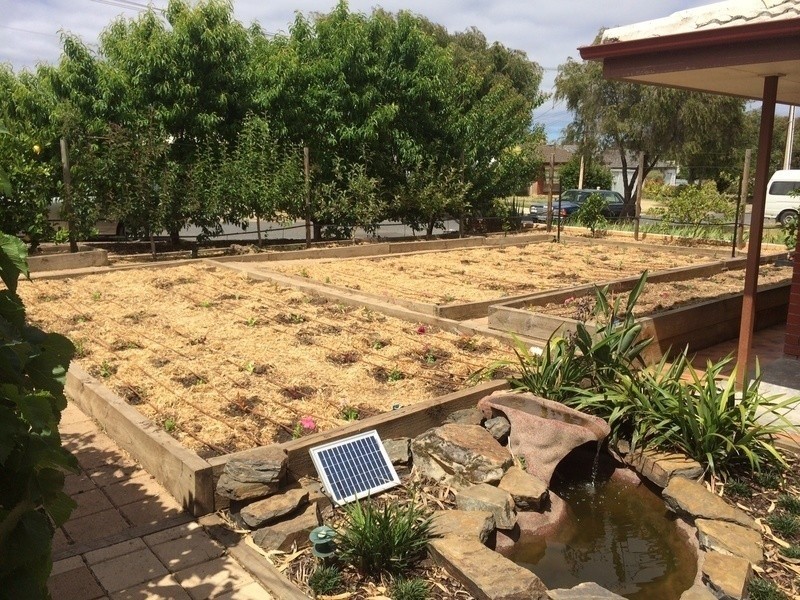 20 Glengyle Avenue, Modbury SA 5092