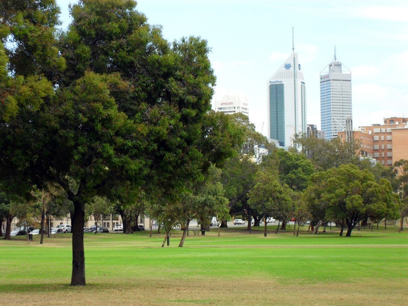 74 Wellington St, East Perth WA 6004