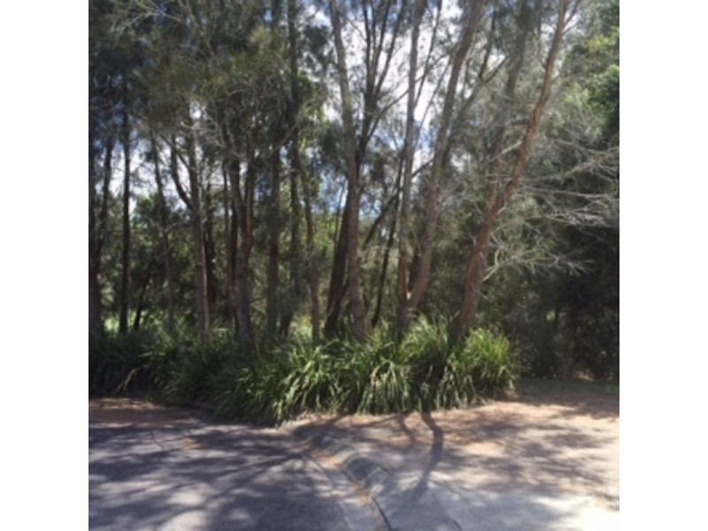 8 Carawa Close, Buff Point NSW 2262