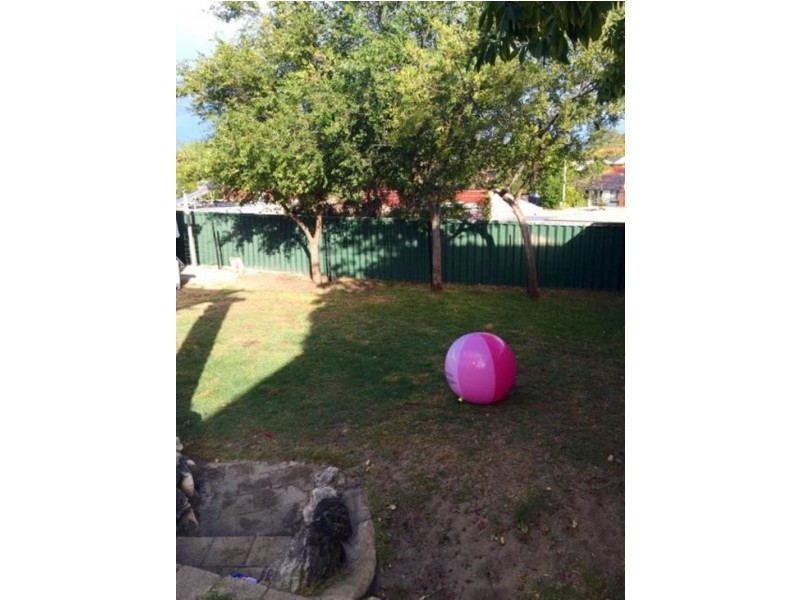 8 Springfield Court, Kallaroo WA 6025