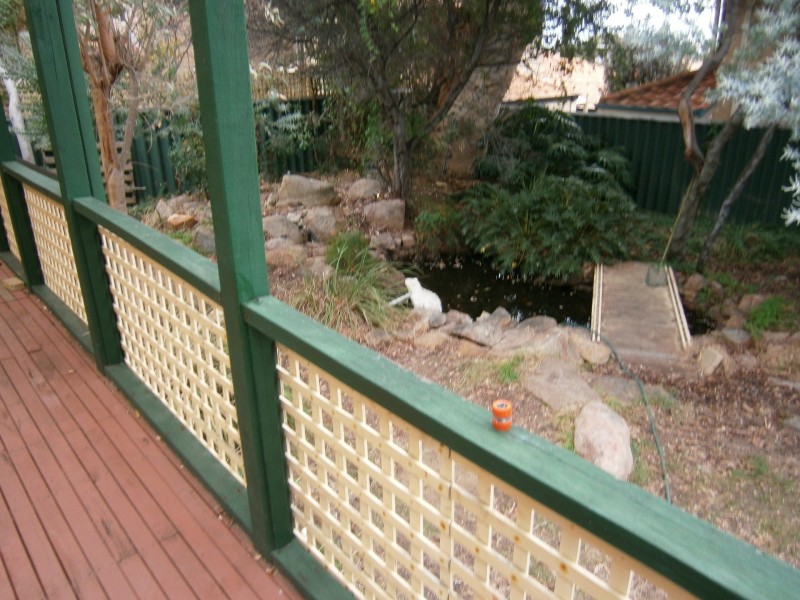 217 McDonald Street, Joondanna WA 6060