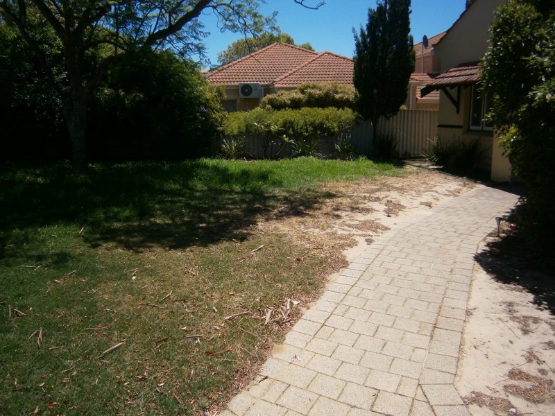 217 McDonald Street, Joondanna WA 6060