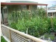 3 Mary St, Strahan TAS 7468