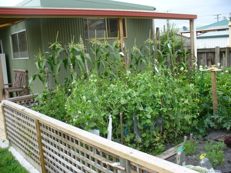 3 Mary St, Strahan TAS 7468