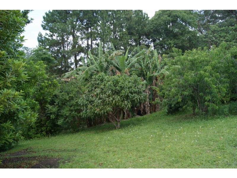 131 Mons Road, Buderim QLD 4556