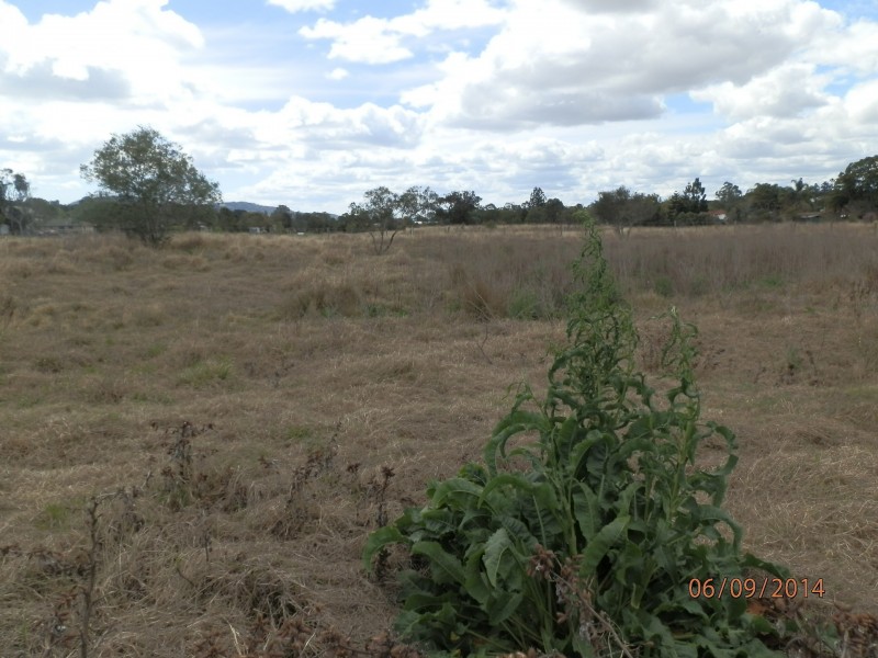 Lot 11 – 15  Edward Street, Marburg QLD 4346