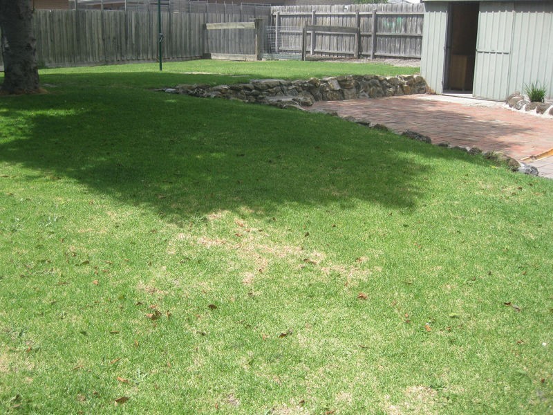 4 Ashleigh Avenue, Frankston VIC 3199