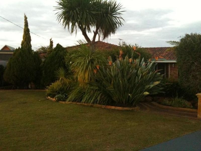 14 Karri Court, Yangebup WA 6164