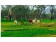 219 Crabb Road, Woodstock QLD 4816