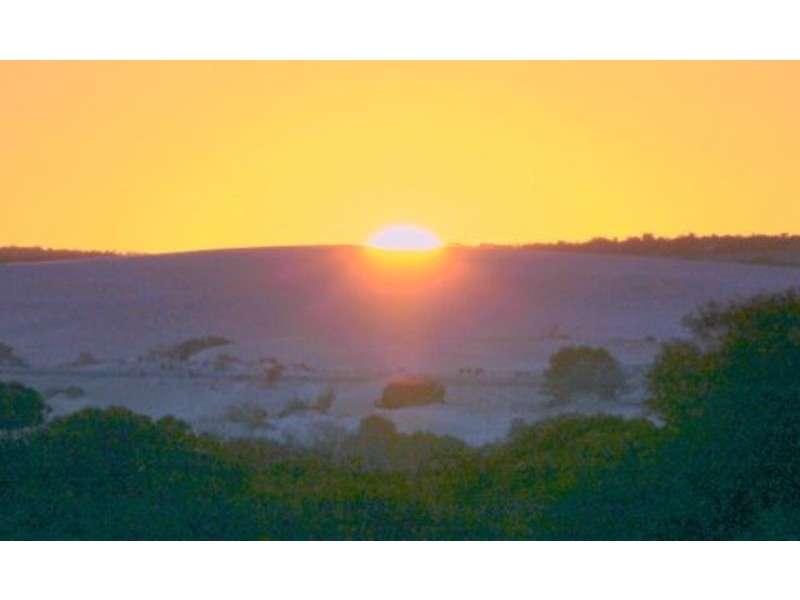 58 Bootoo Street, Lancelin WA 6044