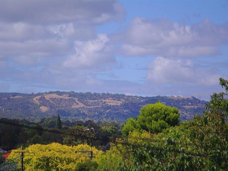 11A Leslie Ave, Campbelltown SA 5074