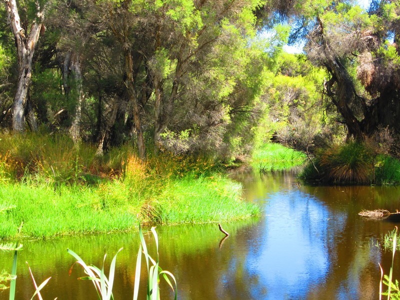 14 Polwarth Circuit, Eaton WA 6232