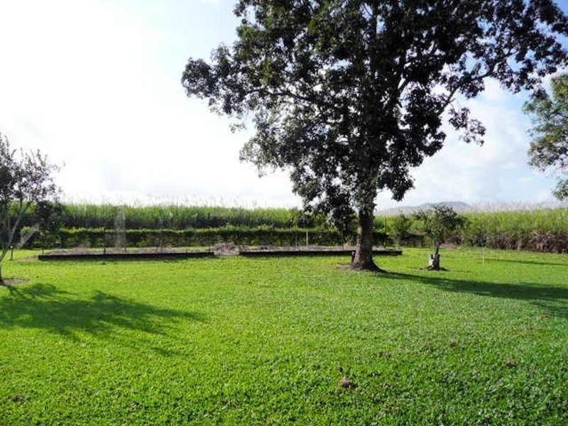 695 Halifax Road, Ingham QLD 4850