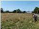 325 Mersey Main Road, Spreyton TAS 7310