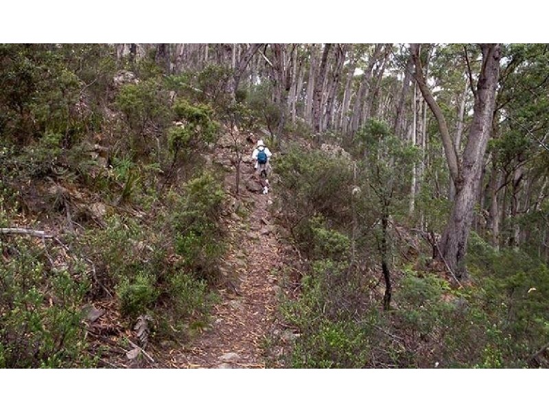 740 Mustering Ground Rd, Kiah NSW 2551