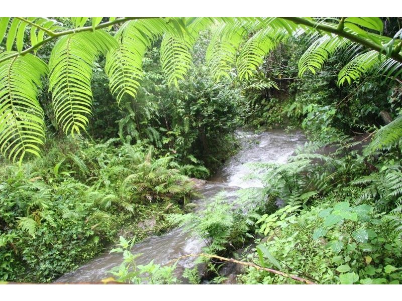 173 Ellis Rd, Bellenden Ker QLD 4871