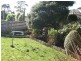 12/3 Hayward St, Penguin TAS 7316