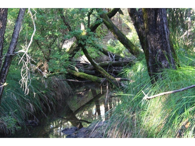 Wellington Mill WA 6236