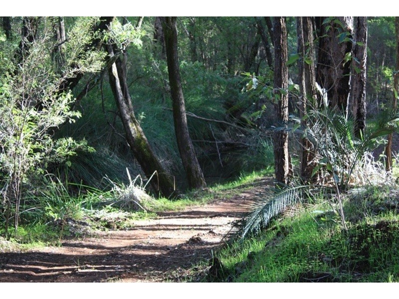 Wellington Mill WA 6236