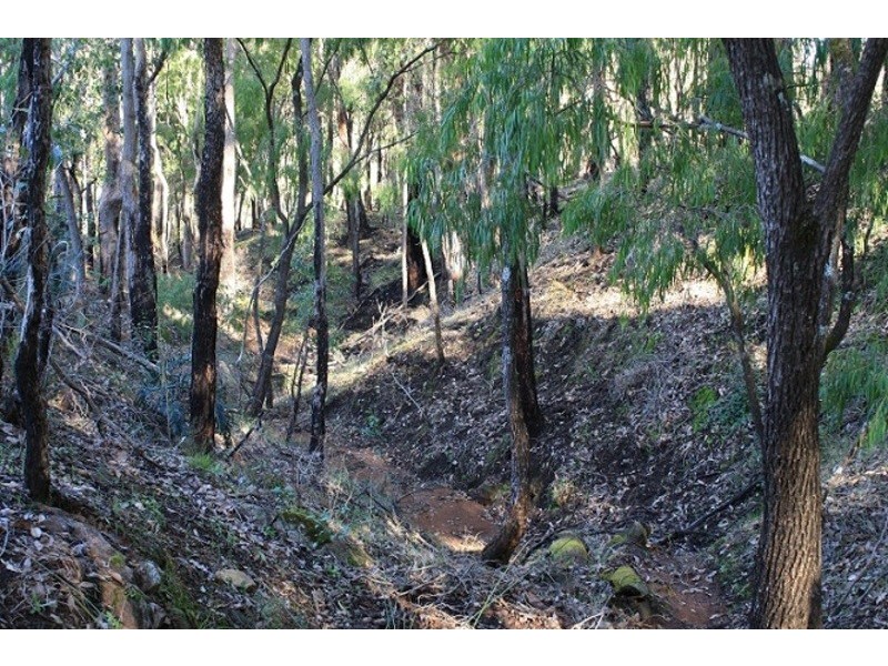 Wellington Mill WA 6236