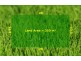 LOT 212 Sallybank Crescent, Wollert VIC 3750