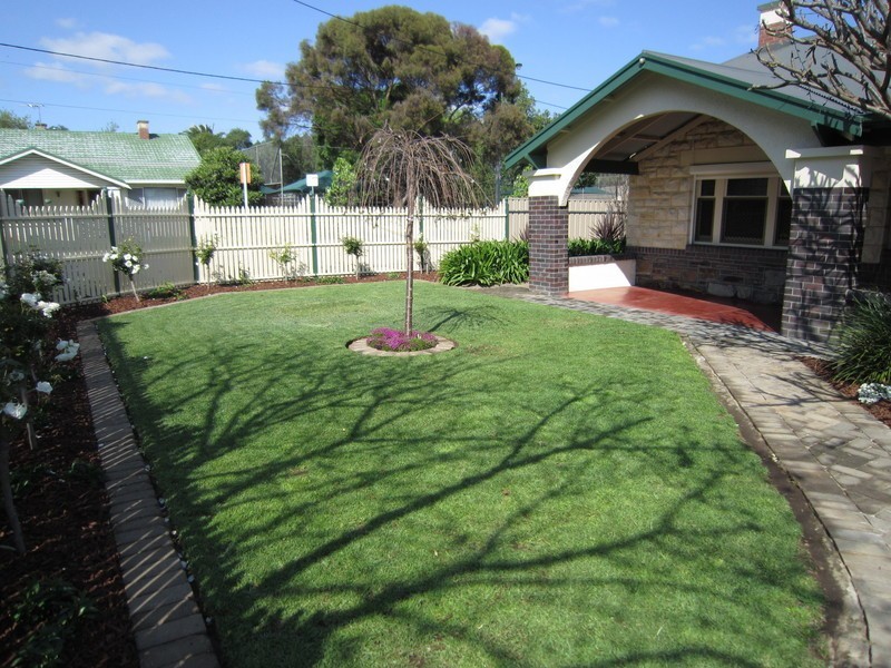 12 Herbert Road, Ashford SA 5035