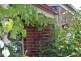 84 Princess St, Drysdale VIC 3222