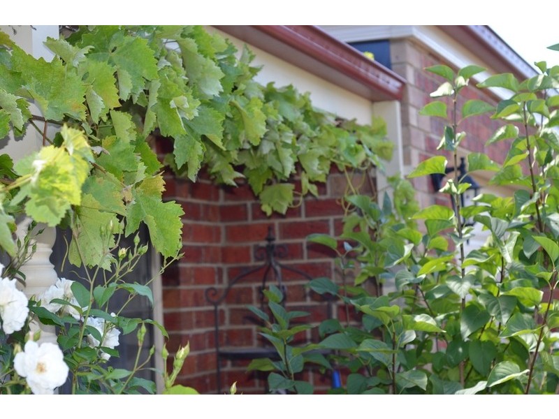 84 Princess St, Drysdale VIC 3222
