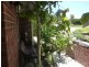 84 Princess St, Drysdale VIC 3222