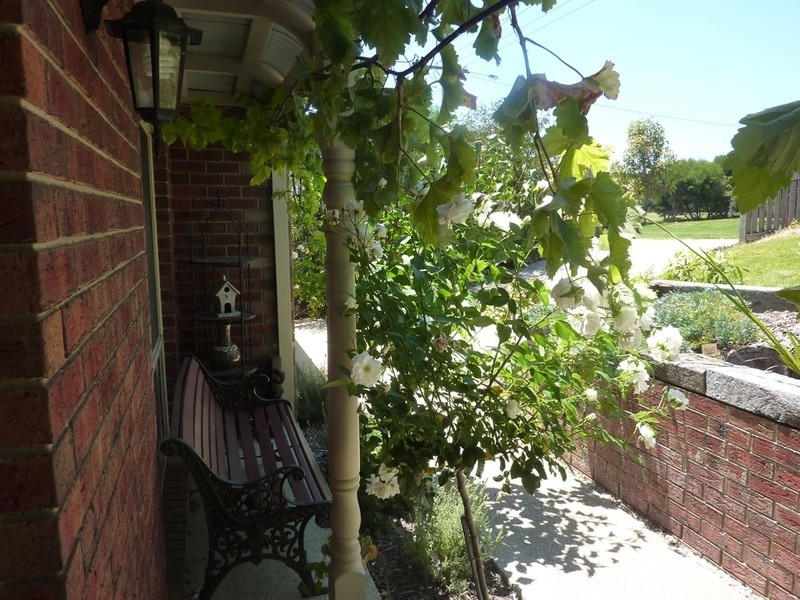 84 Princess St, Drysdale VIC 3222