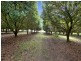 10 Osprey Drive, Urunga NSW 2455