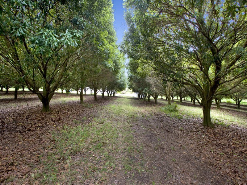 10 Osprey Drive, Urunga NSW 2455