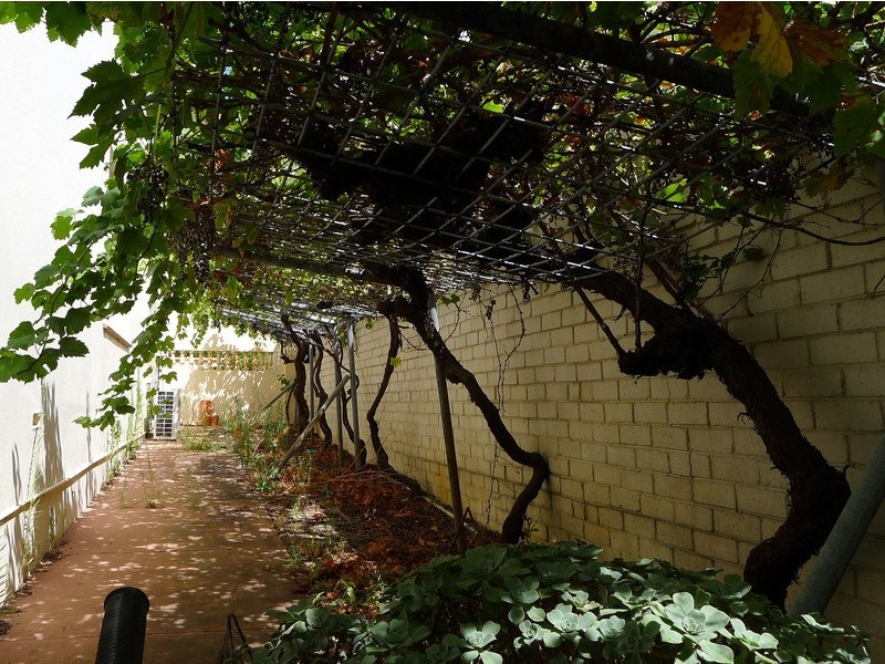 372 Alexander Drive, Dianella WA 6059