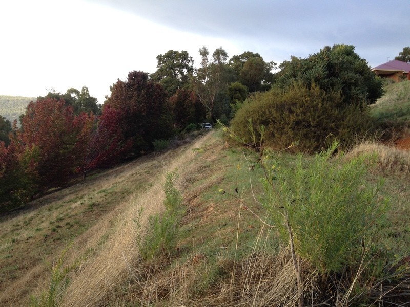 26 Norman  Road, Roleystone WA 6111