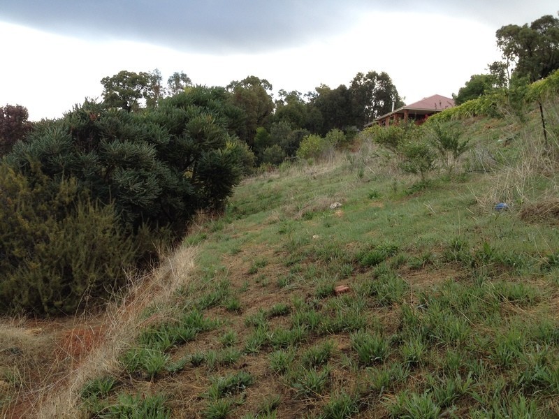 26 Norman  Road, Roleystone WA 6111