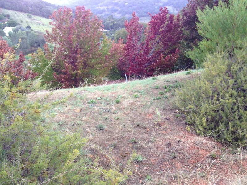 26 Norman  Road, Roleystone WA 6111