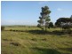 424 Rosenzweig Road, Frayville SA 5238