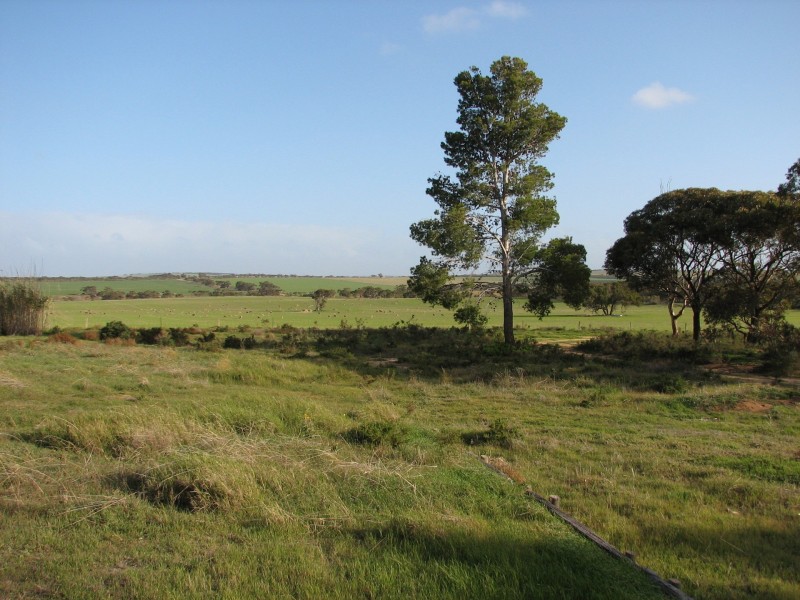 424 Rosenzweig Road, Frayville SA 5238