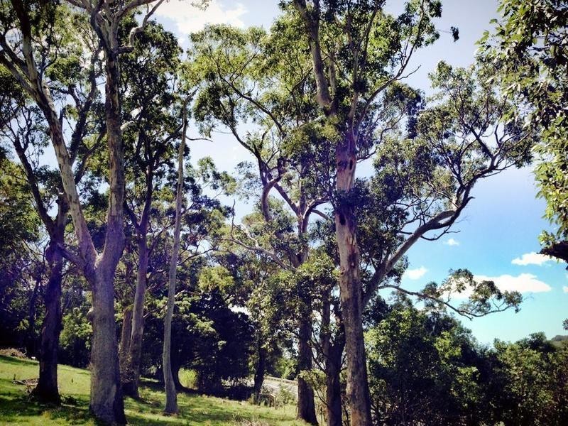 Berry NSW 2535
